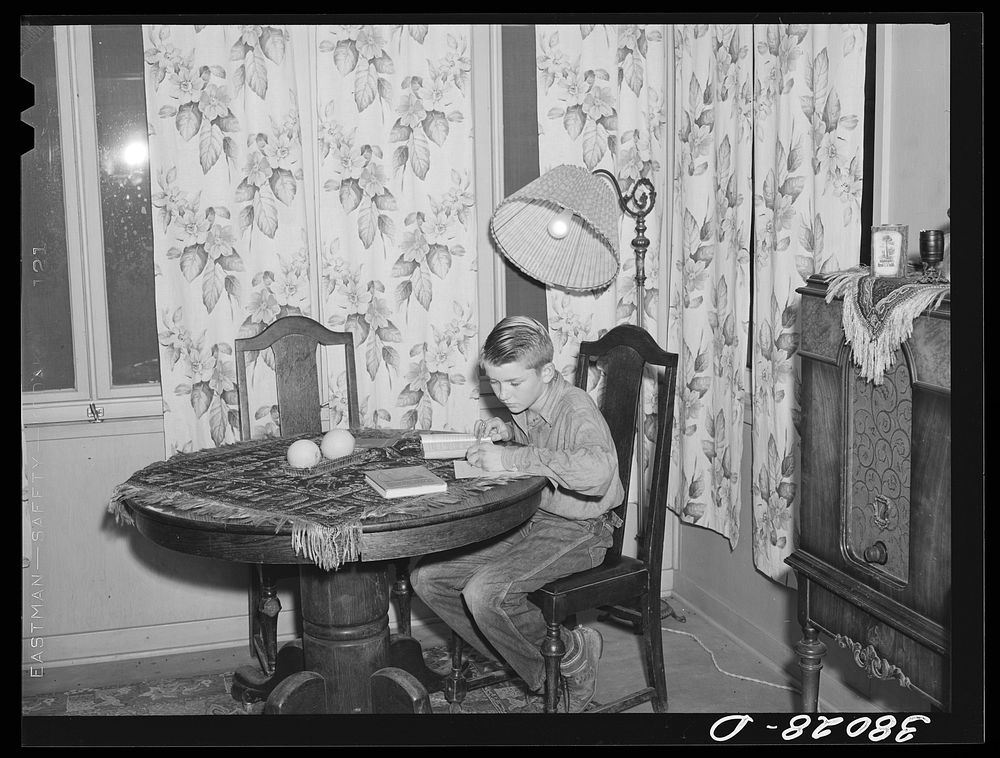 Son of Mr. Schmidt, member of Mineral King cooperative farm, doing his homework. Tulare County, California by Russell Lee