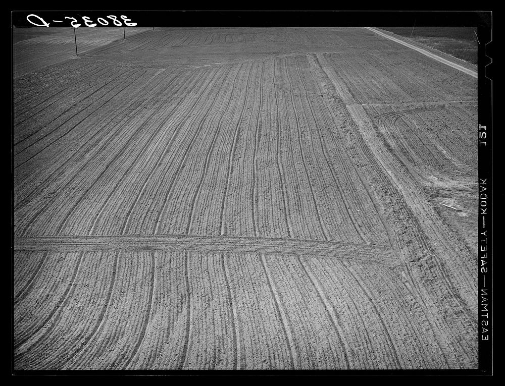 Field after being harrowed at the Mineral King cooperative farm. Tulare County, California by Russell Lee