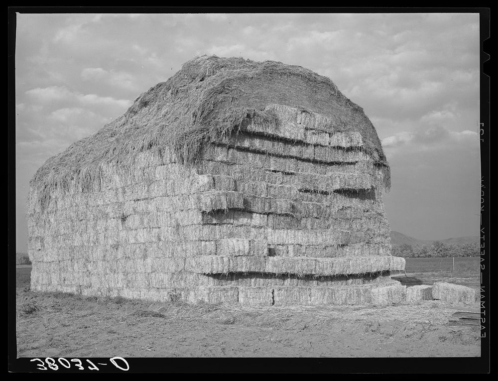 Stack of baled hay at the Mineral King cooperative farm. Tulare County, California by Russell Lee