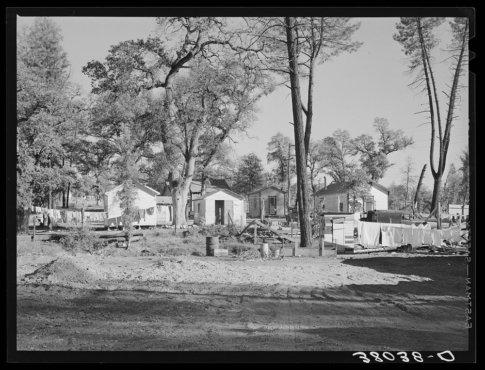 Houses of some of the workers at Shasta Dam who have settled around Project City, California by Russell Lee