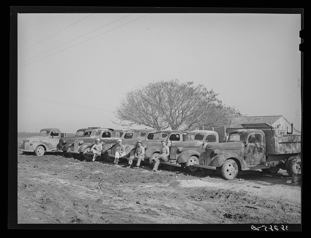 Line-up of trucks at truckers' camp near naval air base. Corpus Christi, Texas by Russell Lee