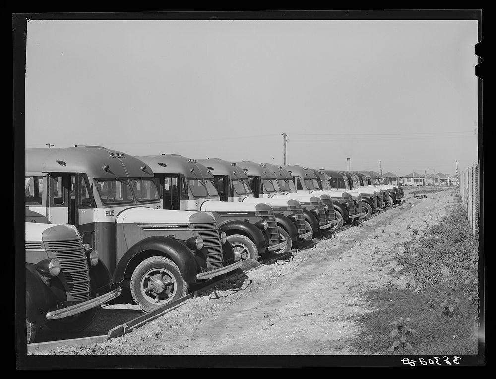 Line up of buses used to transport workmen to the construction work at the naval air training base. Corpus Christi, Texas by…