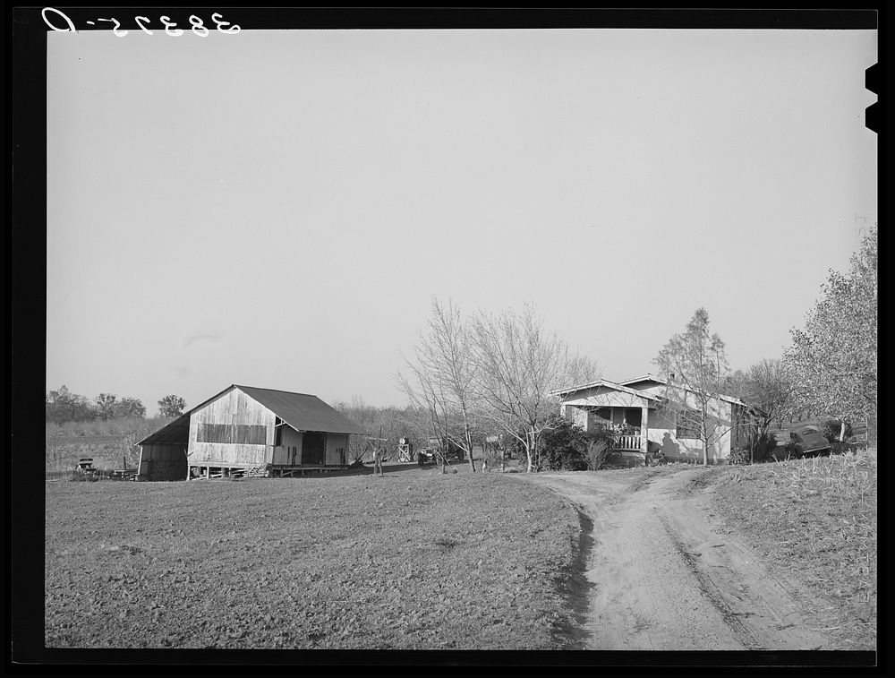 House and packing shed of fruit farmer. Placer County, California. This man owns thirty acres, is considered an average…