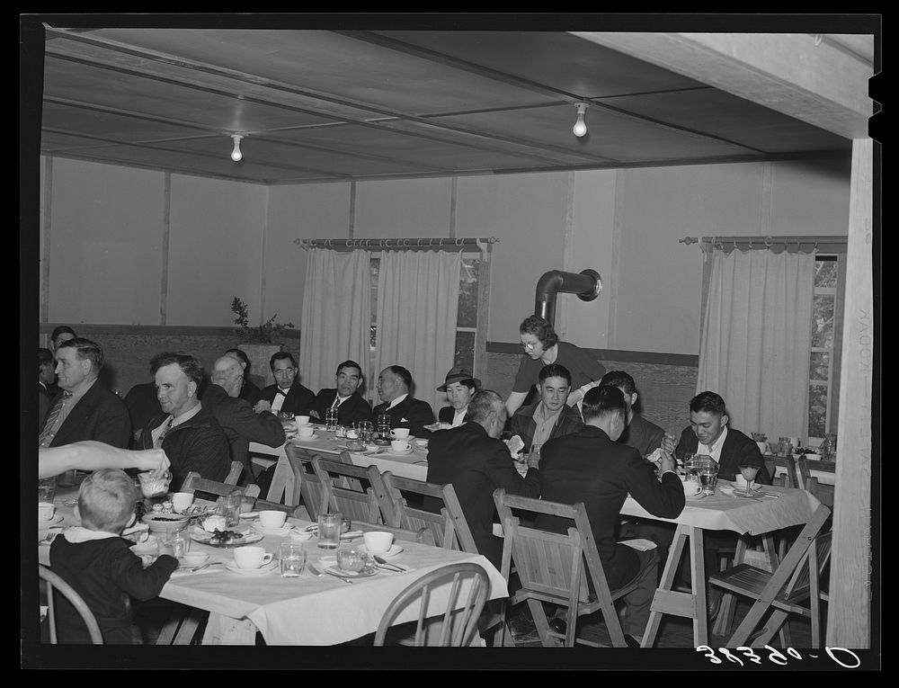 Luncheon after fortieth annual meeting of the Loomis Fruit Association meeting. Loomis, California. Japanese are beginning…
