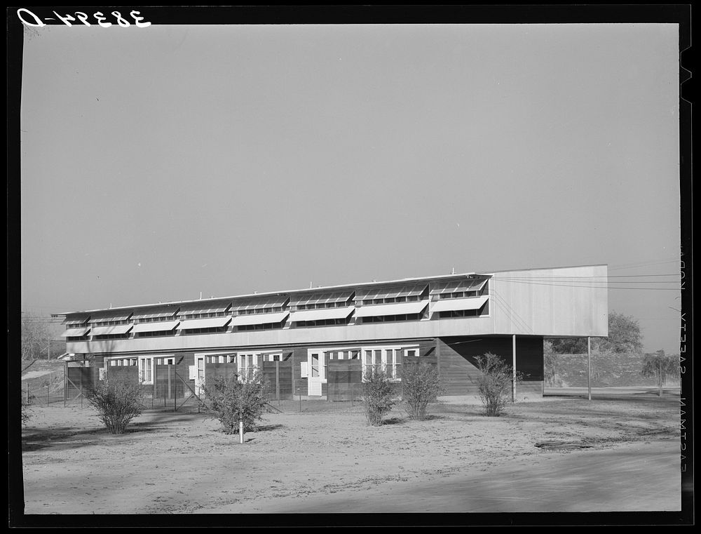 [Untitled photo, possibly related to: Row of apartments for permanent farm workers at the Yuba City farm workers' camp. Yuba…