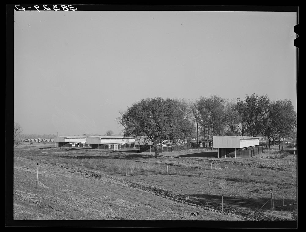 Housing for permanent farm workers at the Yuba City FSA (Farm Security Administration) farm workers' camp. Yuba City…