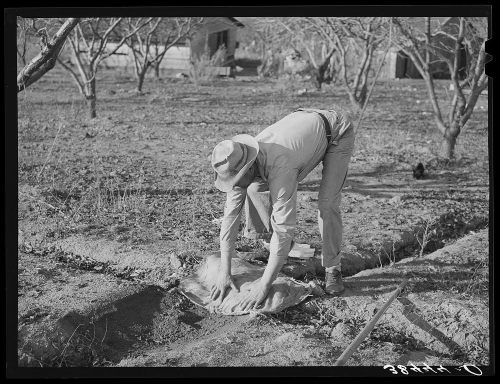Farmer banking irrigation ditches with sacks. Placer County, California. See caption for 38438D by Russell Lee