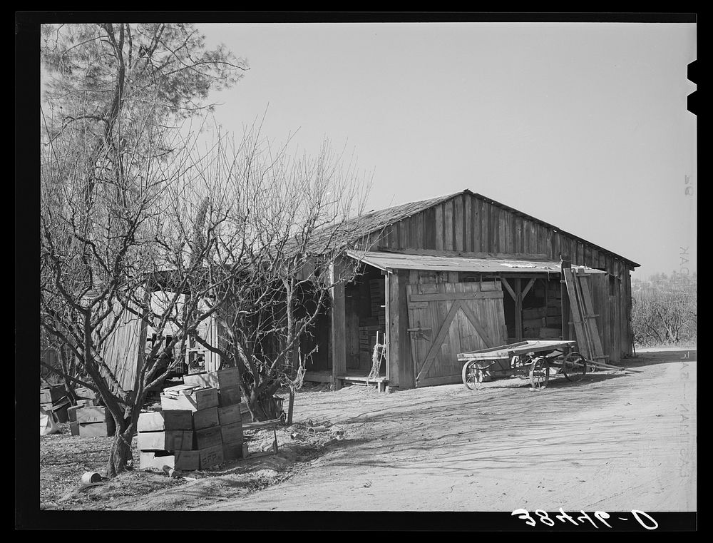 Packing shed of fruit farmer. Placer County, California by Russell Lee