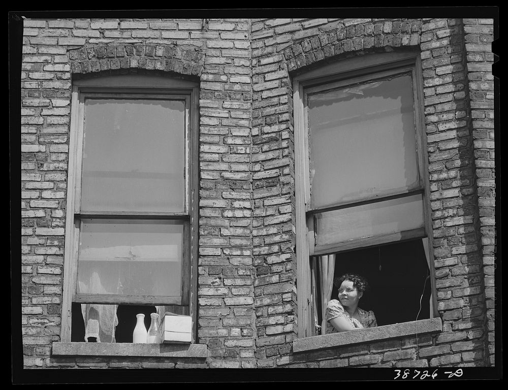 Window of apartment house rented. Chicago, Illinois by Russell Lee