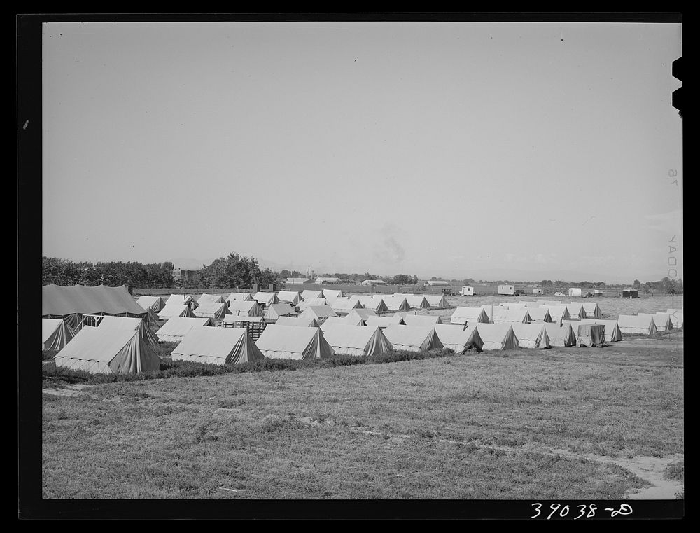 Tents of FSA (Farm Security Administration) migratory labor camp mobile unit. Wilder, Idaho by Russell Lee