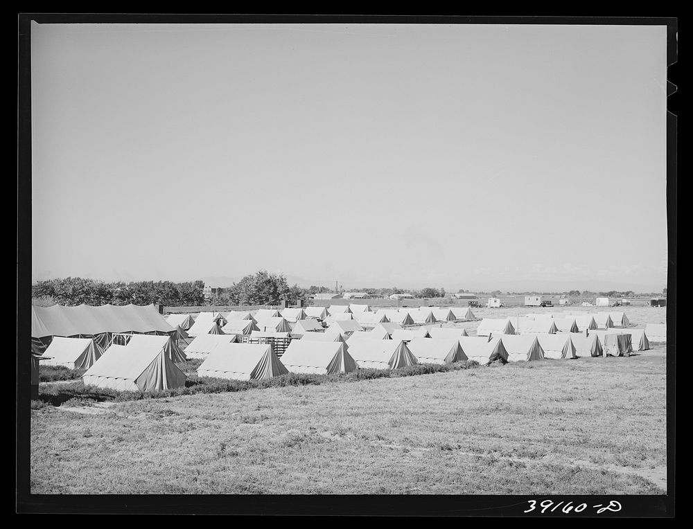 [Untitled photo, possibly related to: Tents at FSA (Farm Security Administration) migratory labor camp mobile unit. Wilder…