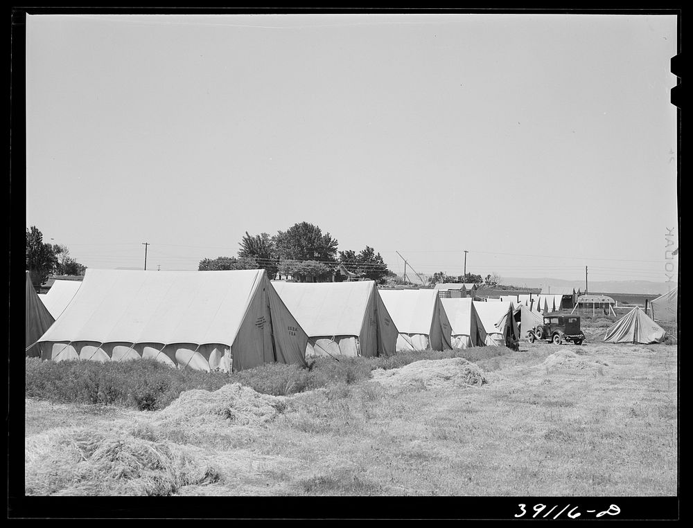 Tents at the FSA (Farm Security Administration) migratory labor camp mobile unit. Wilder, Idaho by Russell Lee