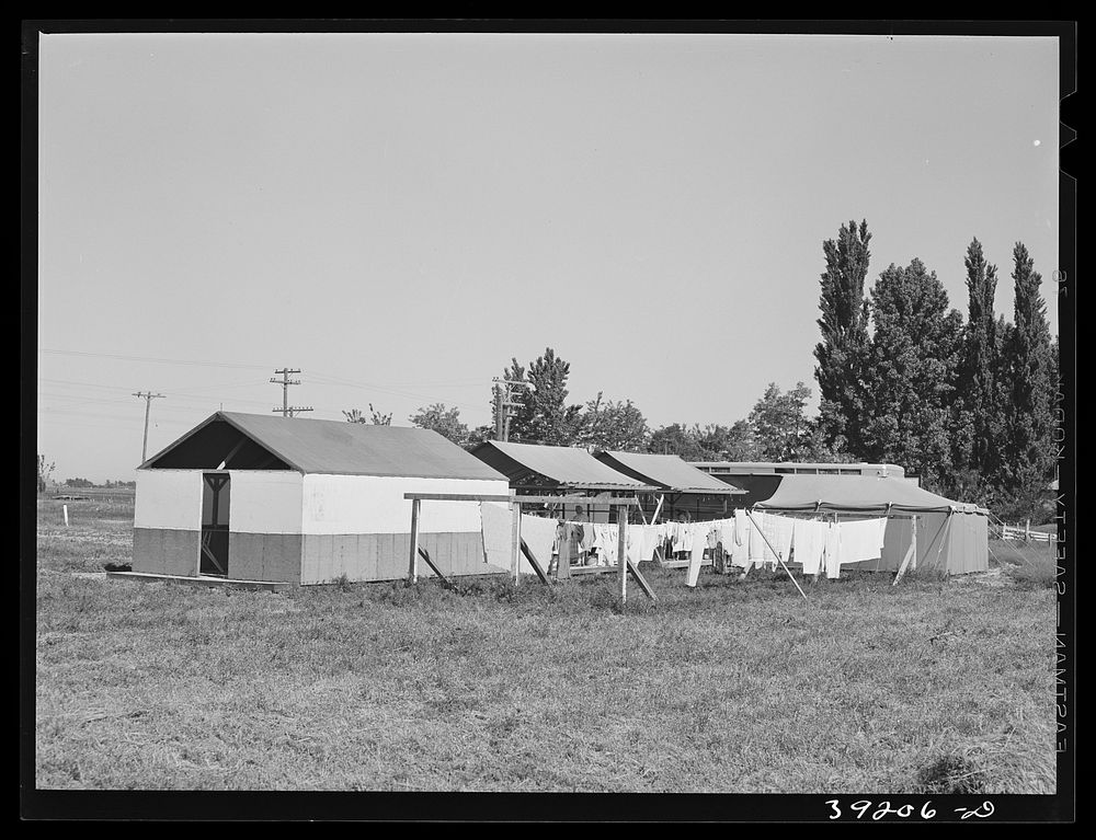 Overall view of laundry, shower and power units at the FSA (Farm Security Administration) migratory labor camp mobile unit.…