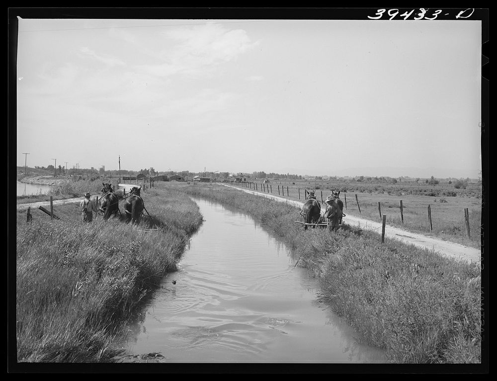 Irrigation ditch. Canyon County, Idaho by Russell Lee