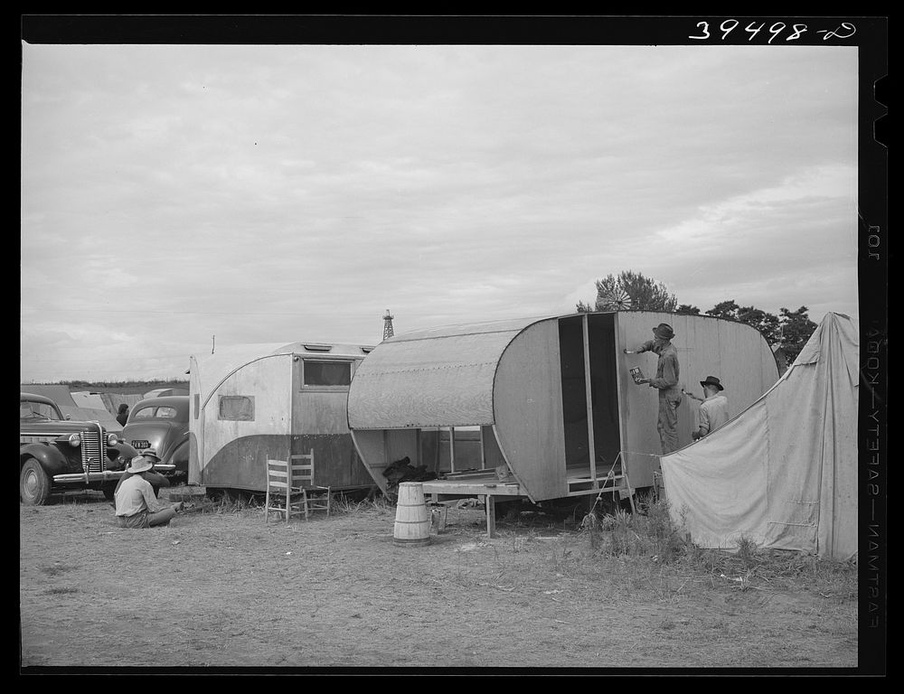 Trailer houses of pea pickers who travel with a labor contractor and live in camp rented and manage by the contractor.…