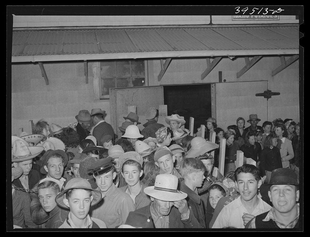 High school boys and girls in trucks going to pick peas. Nampa, Canyon County, Idaho. No one under fifteen years of age was…