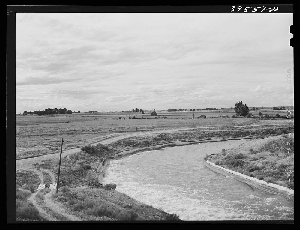 [Untitled photo, possibly related to: Irrigation ditch. Canyon County, Idaho] by Russell Lee