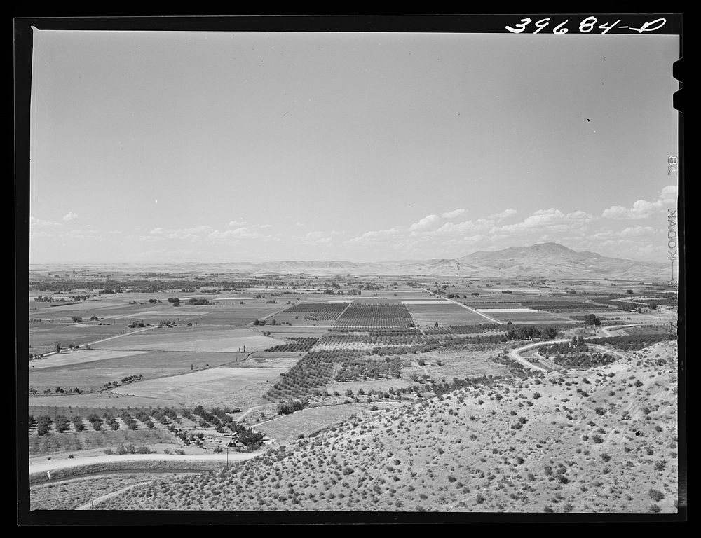 Farming land and cherry orchards. Emmett, Gem County, Idaho by Russell Lee