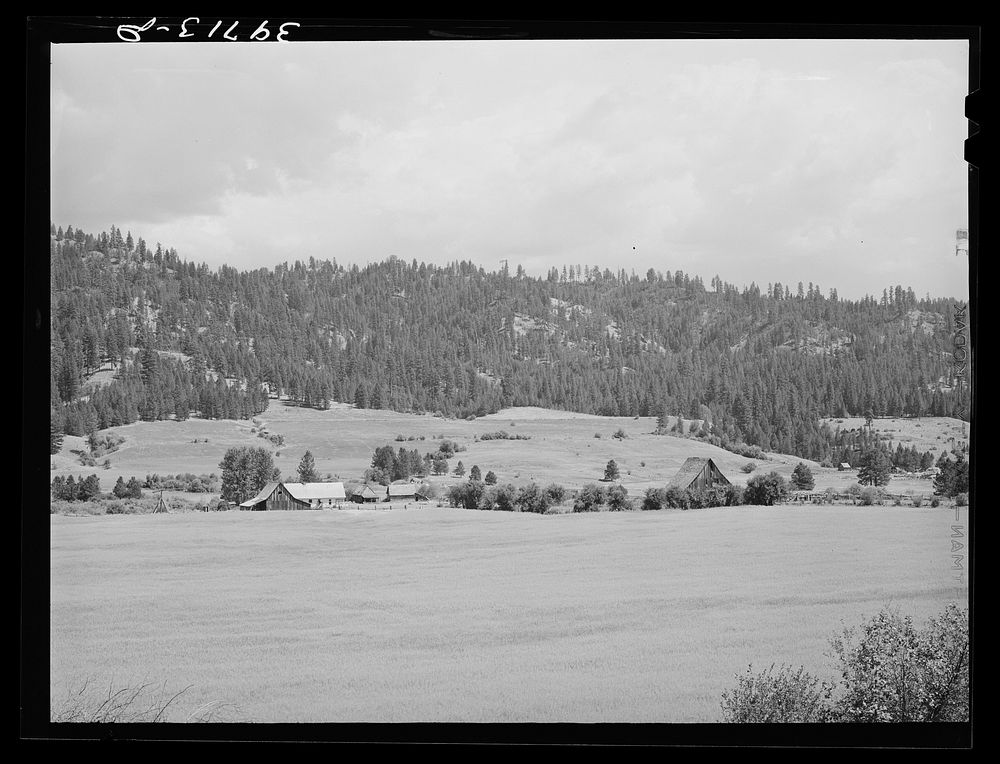 [Untitled photo, possibly related to: Farmland and farmstead. Garden Valley, Boise County, Idaho] by Russell Lee