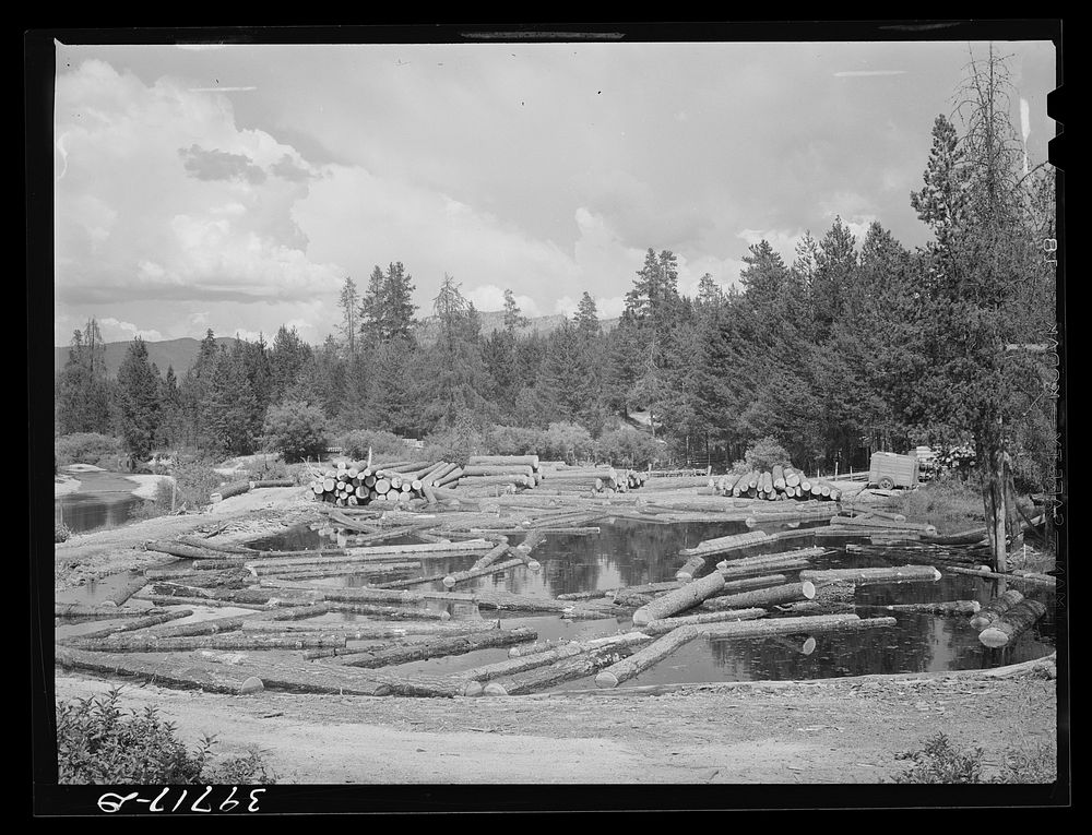 Logs in pond. Cascade, Idaho by Russell Lee
