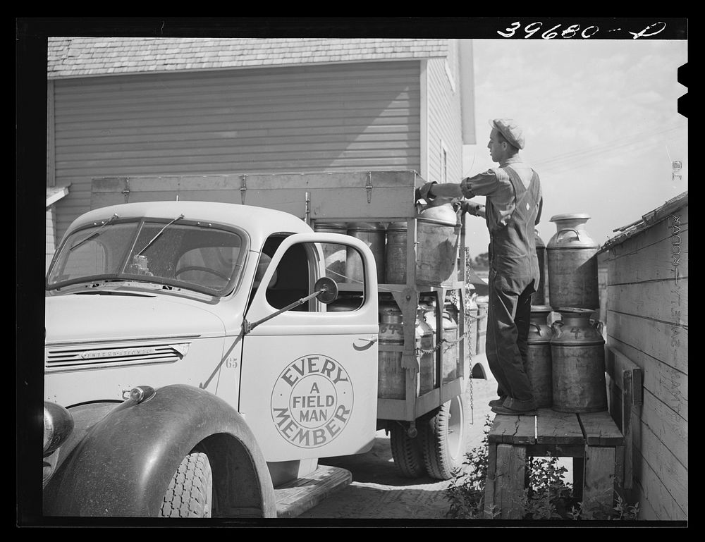 [Untitled photo, possibly related to: Collecting cans of milk and cream at farm of member of the Dairymen's Cooperative…