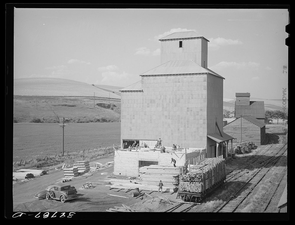 Adding new storage space to elevator. Dayton, Washington. High yields of wheat this year were taxing storage facilities by…