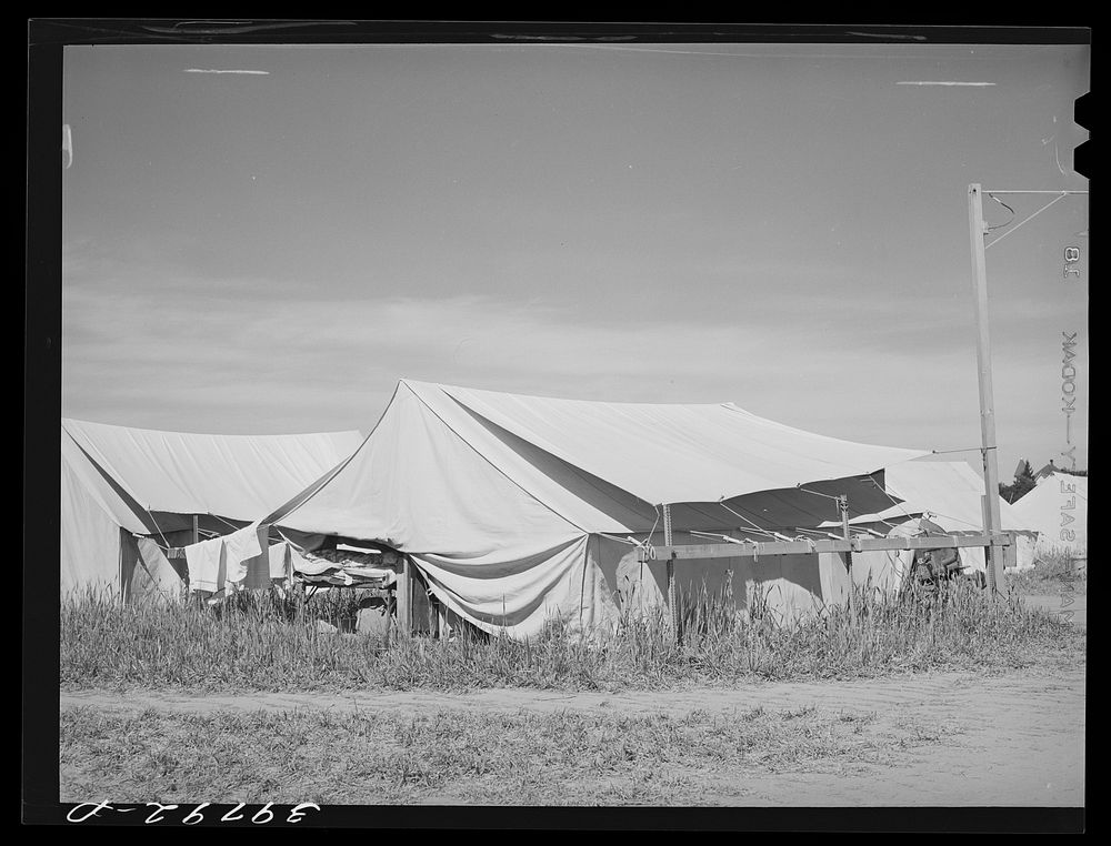 Tent home at the FSA (Farm Security Administration) migratory farm labor camp mobile unit. Athena, Oregon by Russell Lee