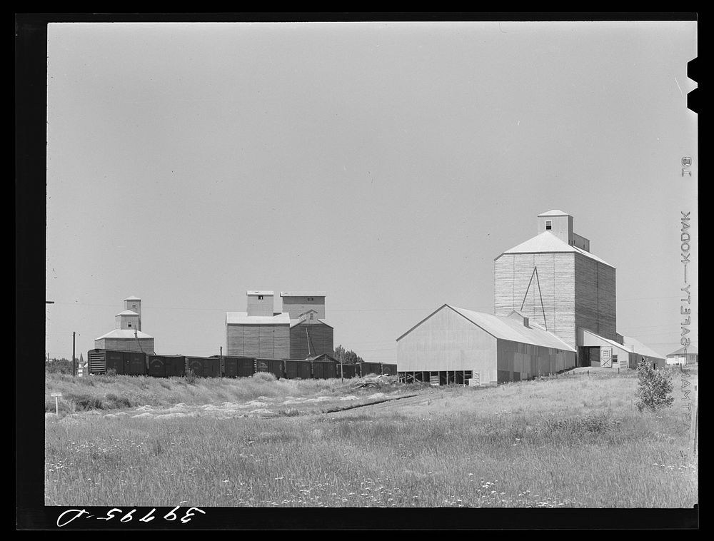 Wheat elevators, sack warehouse and railroad cars. Craigmont, Idaho. Some of these are new elevators--all old elevators were…