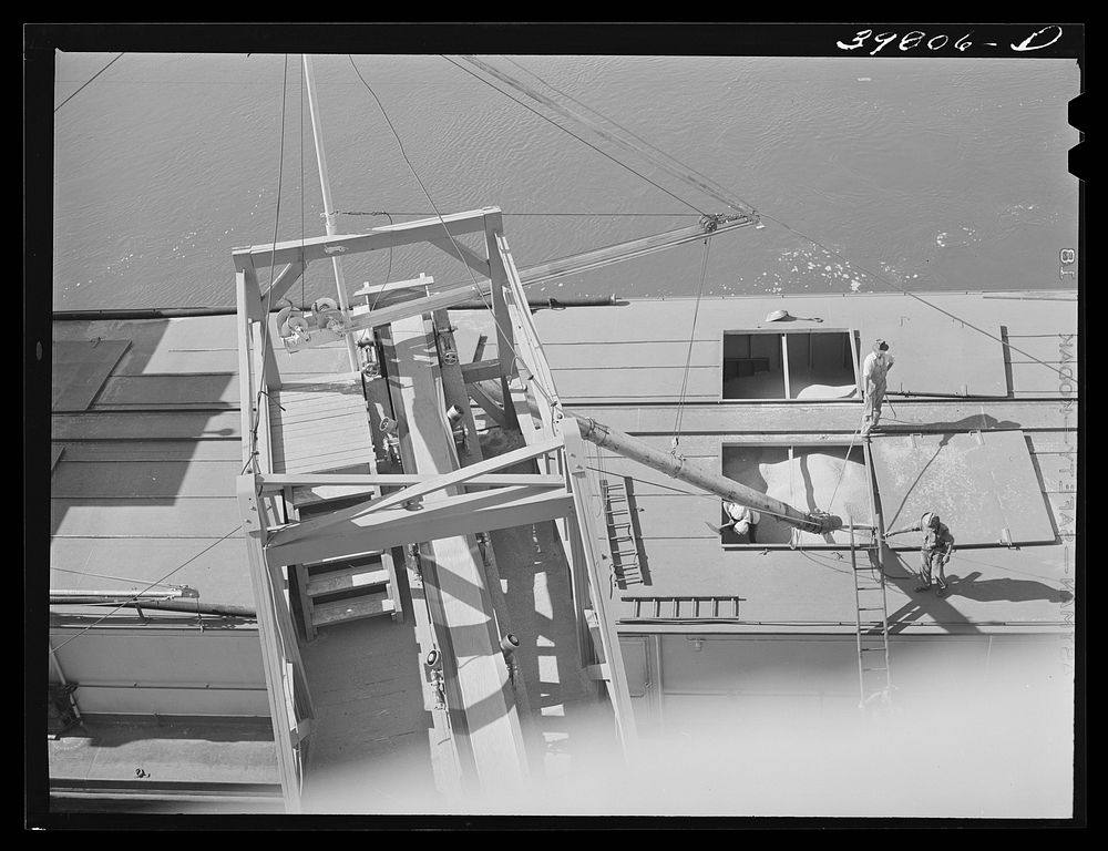 [Untitled photo, possibly related to: Pouring wheat into hole of barge at Port Kelly, Walla Walla County, Washington] by…