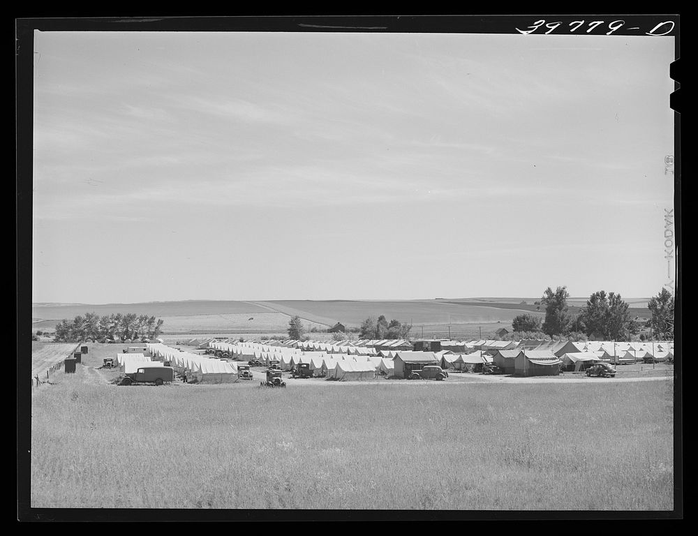 [Untitled photo, possibly related to: FSA (Farm Security Administration) migratory farm labor camp mobile unit. Athena…