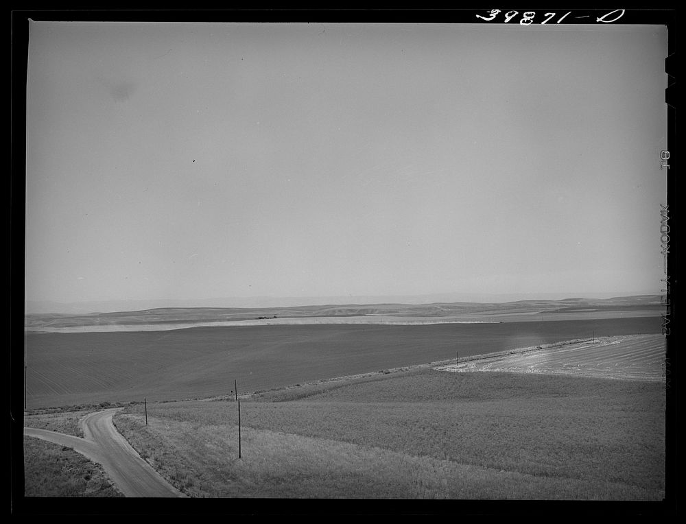 Wheat land. Eureka Flats, Walla Walla County, Washington by Russell Lee
