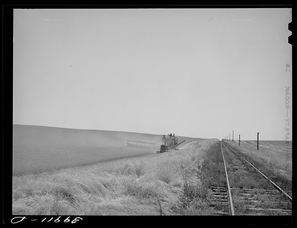 Combine working in wheat field by side of railroad. Walla Walla County, Washington by Russell Lee