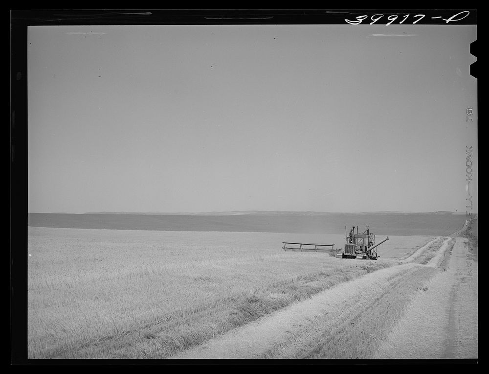 Caterpillar-drawn combine in wheat field. Walla Walla County, Washington by Russell Lee