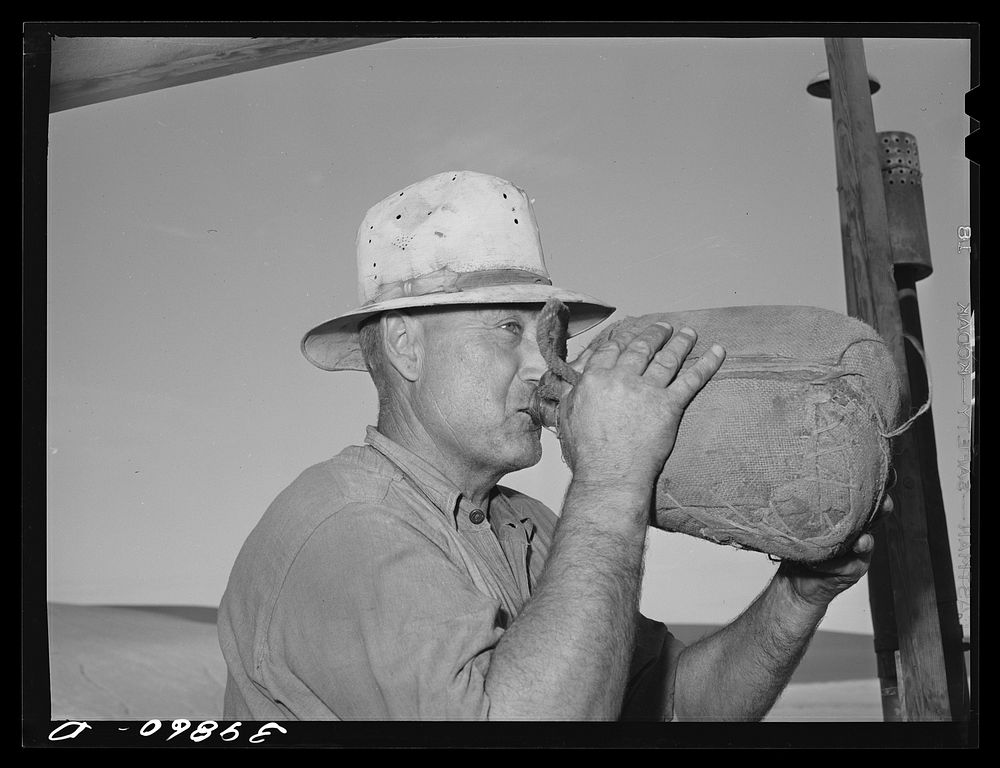 Combine worker gets a drink of water. Burlap wrapping on bottle is kept moist, water is cooled by rapid evaporation. Walla…