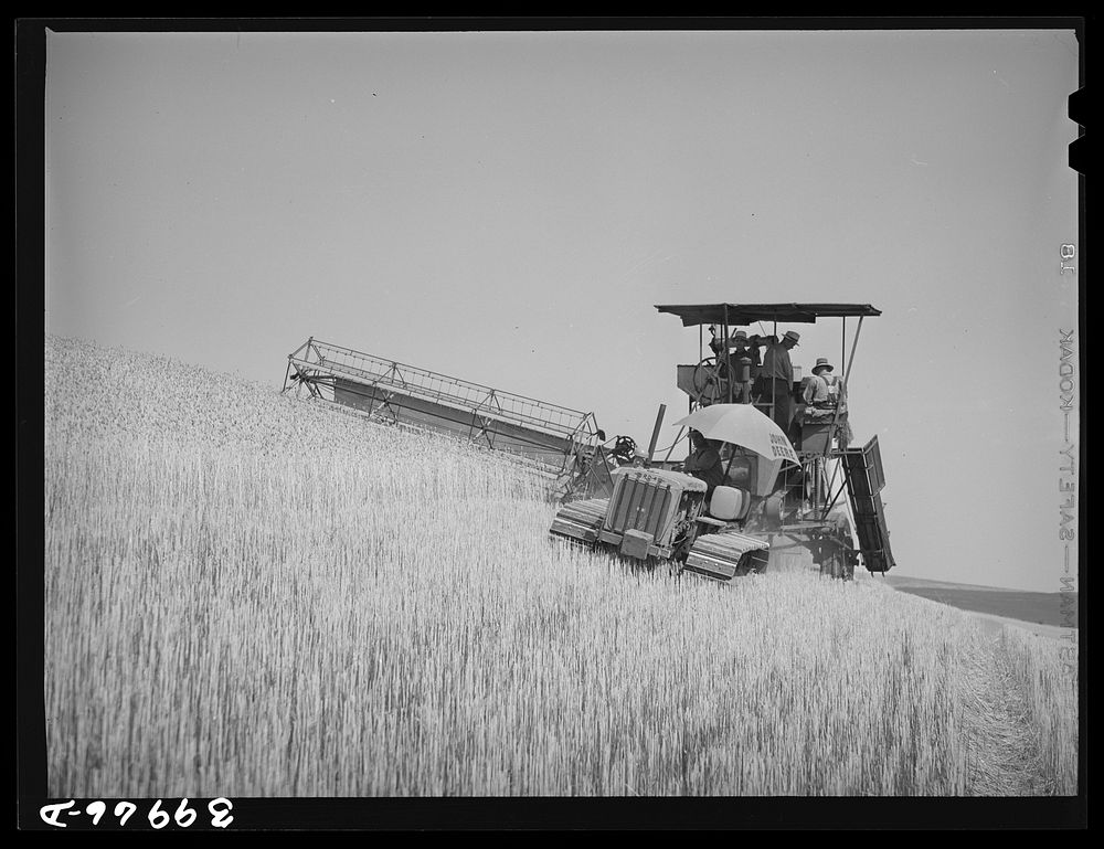 [Untitled photo, possibly related to: Caterpillar-drawn combine working in wheat fields. Whitman County, Washington] by…