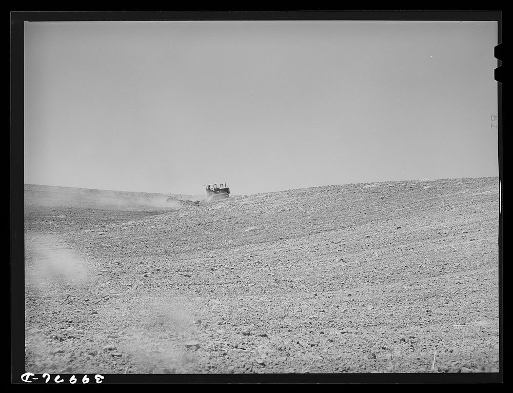[Untitled photo, possibly related to: Tractor-drawn harrow in summer fallow. Whitman County, Washington] by Russell Lee