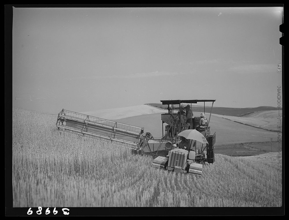 Caterpillar-drawn combine working in wheat fields. Whitman County, Washington by Russell Lee