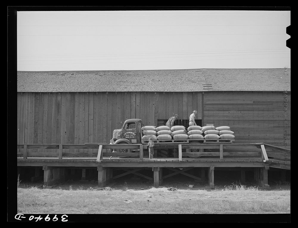 Sack warehouse for wheat. Walla Walla County, Washington by Russell Lee