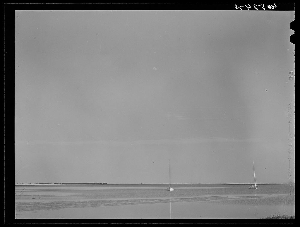 Boats in the bay off Deal Island, Maryland. Sourced from the Library of Congress.