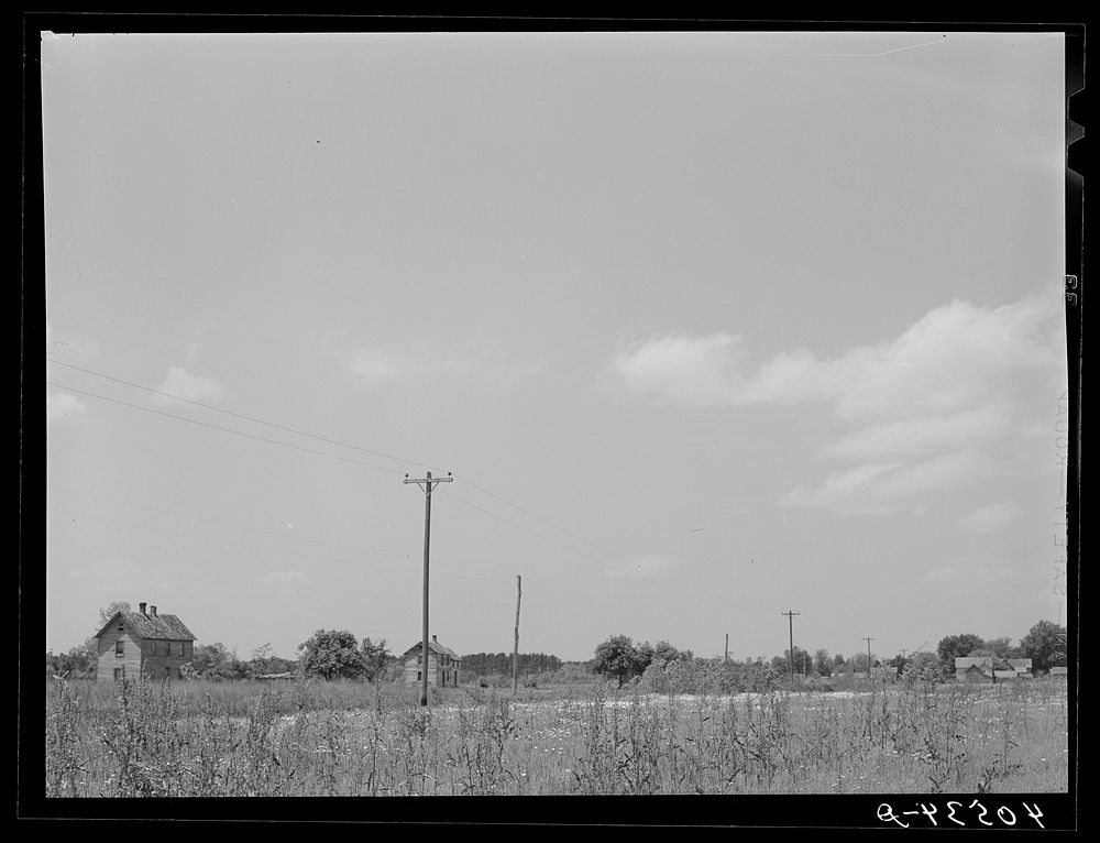 Farmhouses on the flat land of the Eastern shore. Sourced from the Library of Congress.