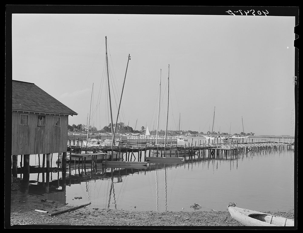 Pier at Deal Island for oyster and crab boats. Deal Island, Maryland. Sourced from the Library of Congress.