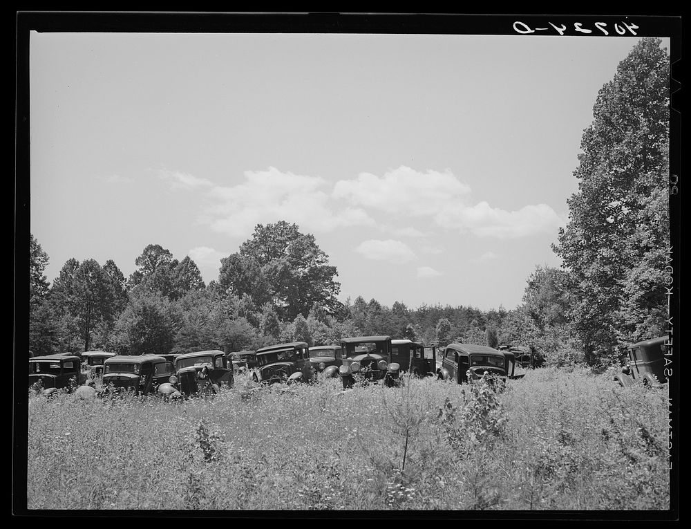 [Untitled photo, possibly related to: Auto graveyard along U.S. Highway No. 1 near Sulphur Springs, Maryland]. Sourced from…