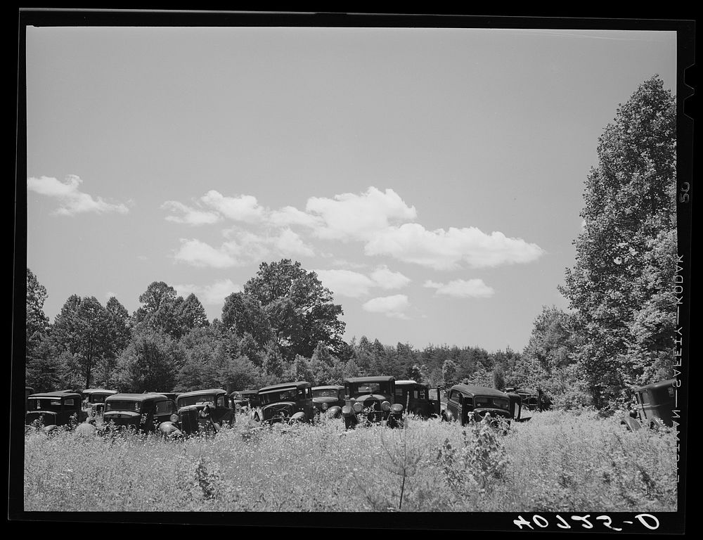 [Untitled photo, possibly related to: Auto graveyard along U.S. Highway No. 1 near Sulphur Springs, Maryland]. Sourced from…