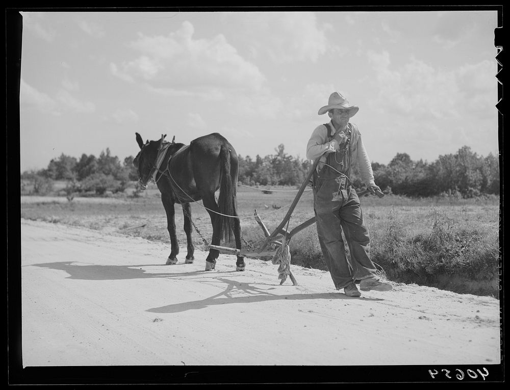 [Untitled photo, possibly related to: Farmer going home from field. Near Farrington, Chatham County, North Carolina].…