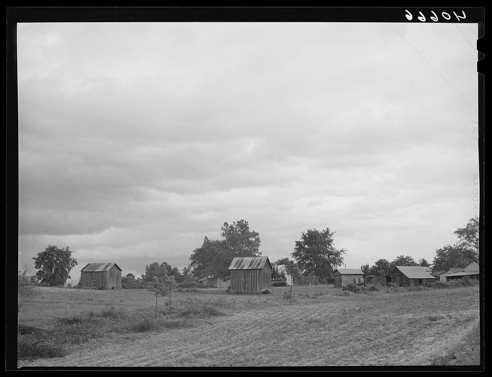 Tobacco field with barn just before a rain. Granville County, North Carolina. Just off highway 15 near Creedmore, North…