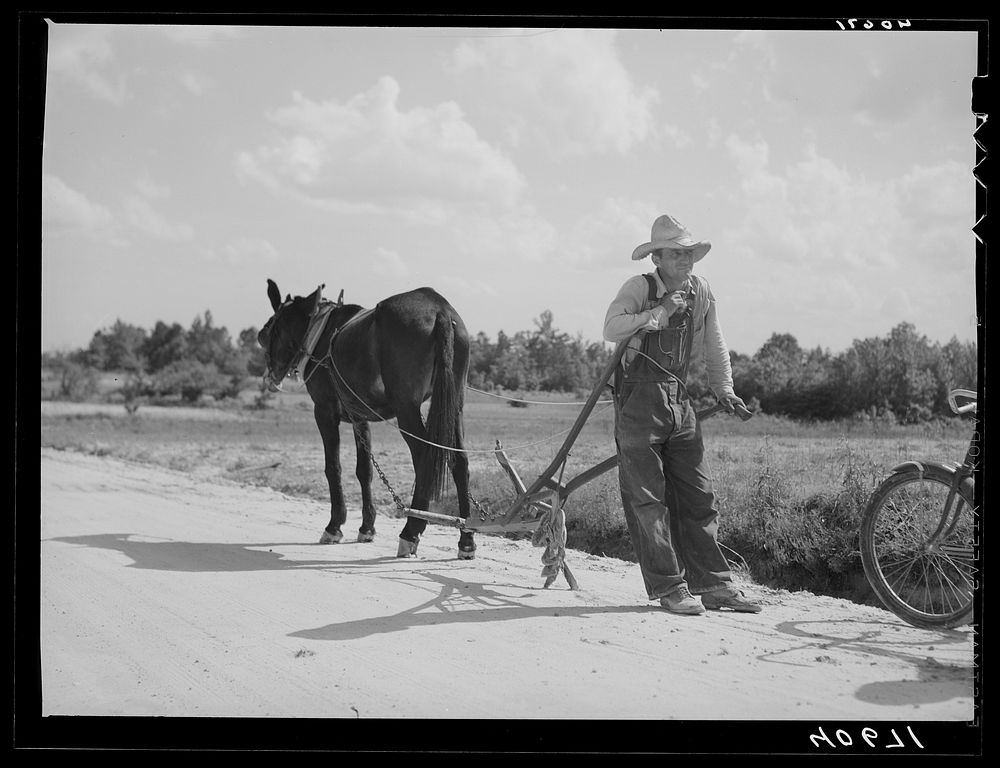 Farmer going home from field. Near Farrington, Chatham County, North Carolina. Sourced from the Library of Congress.