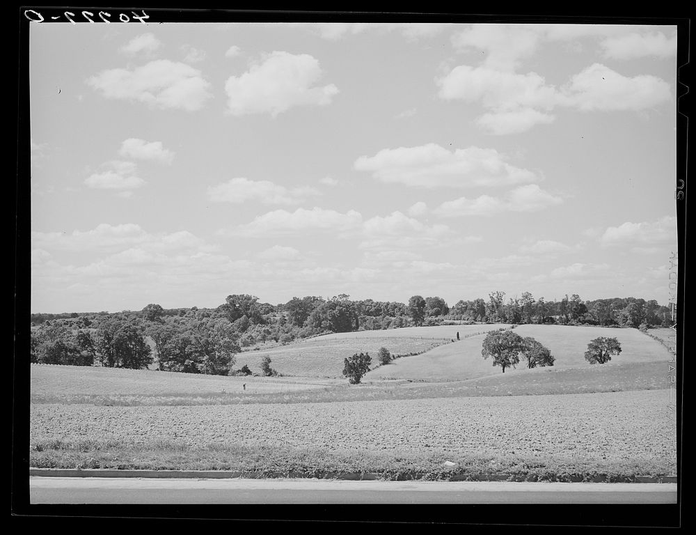 Farmland along U.S. Highway No. 1 near Savage, Maryland. Sourced from the Library of Congress.