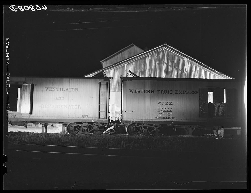 Potato grading station by night. Camden, North Carolina. Sourced from the Library of Congress.