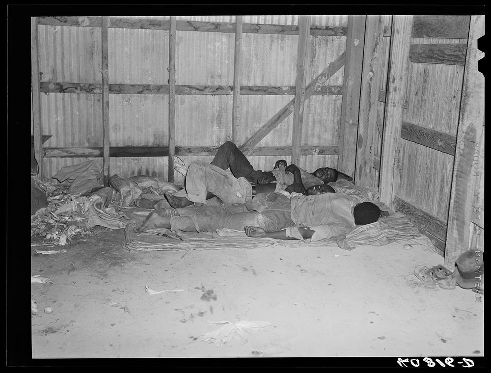 Sleeping quarters of migratory agricultural workers consists of potato sacks on the floor of the warehouse. Belcross, North…