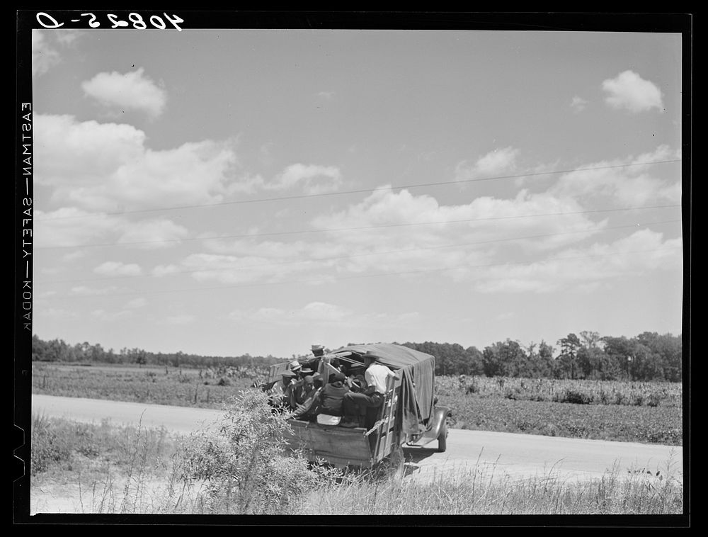 Florida migratory agricultural workers leaving Old Trap, North Carolina for New Jersey. The truck holds thirty-seven…